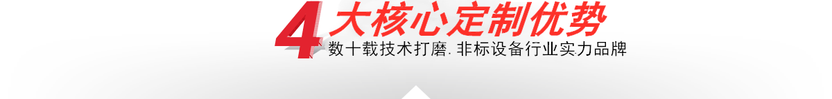 本公司—4大核心定制优势
